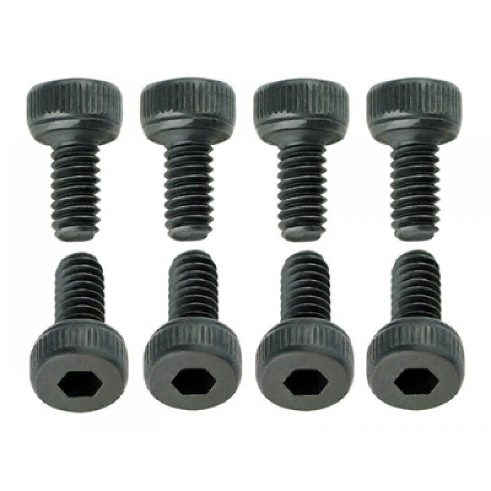 Cap Screw M2x4