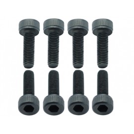 Cap Screw M3x10 Cap Screw M3x10