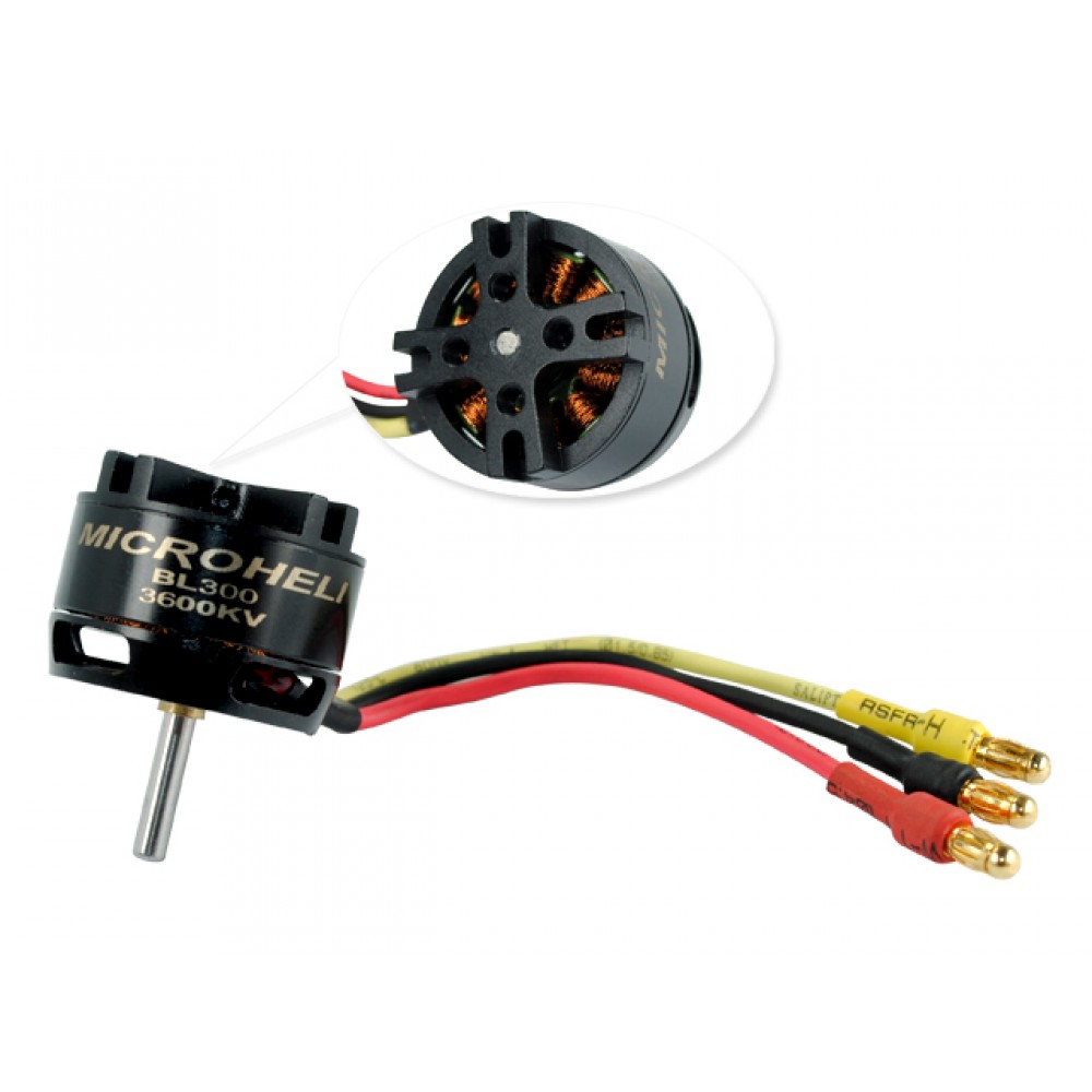 Brushless Motor 3600KV Brushless Motor 3600KV