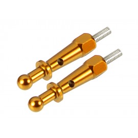 Aluminum Canopy Mount Set (GOLD) - OMP HOBBY M1 / EVO
